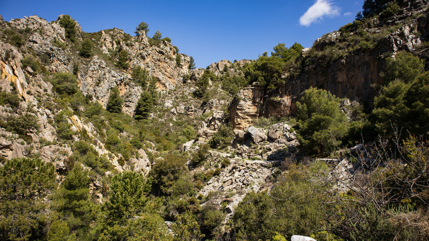 Wanderweg im Barranco del Pito Wanderweg im Barranco del Pito
