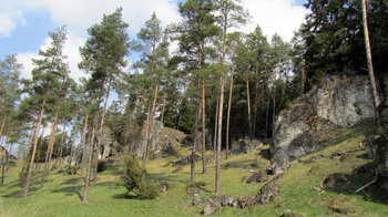 Felswände und Felsnadeln im Paradiestal