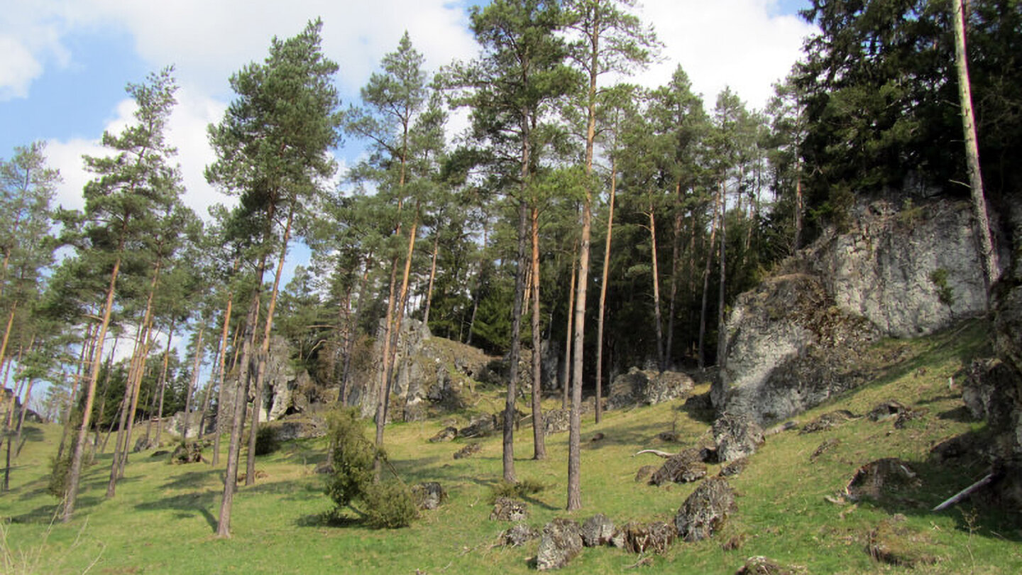 Felswände und Felsnadeln im Kletterparadies Frankenjura Felswände und Felsnadeln im Paradiestal
