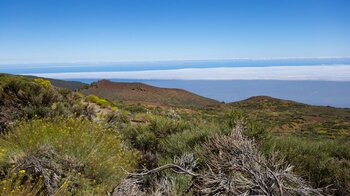 Blick auf den Montaña Guamaso von Wanderweg 37