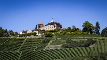 Schloss Eberstein von Obersrot