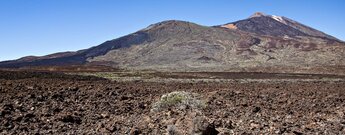 Ausblick über den Teide-Pico-Viejo-Komplex vom Startpunkt der Wanderung
