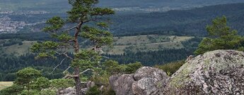 Blick über Lautenbach vom großen Lautenfelsen