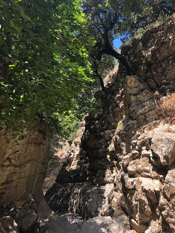 der Weg schlängelt sich durch enge die Imbros-Schlucht