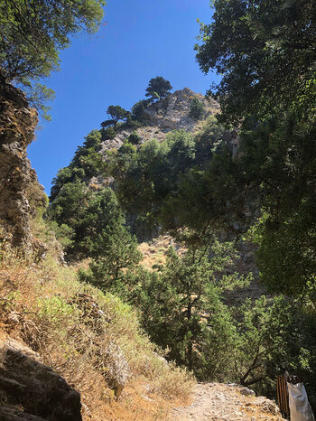 der Wanderweg zur Imbros-Schlucht mit vielfältiger Pflanzenwelt