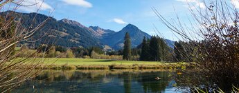 Grundbach bei Fischen im Allgäu