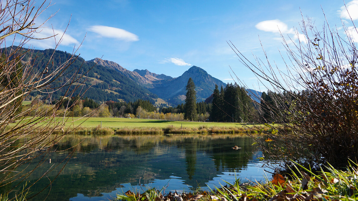 Grundbach bei Fischen im Allgäu