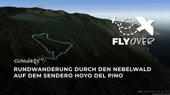 Grüner Nebelwald am Sendero Hoyo del Pino: 3D-Flyover der kurzen Rundtour
