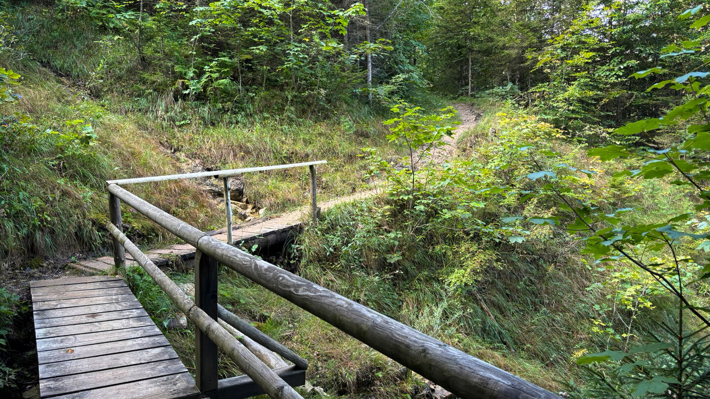 Wanderweg kurz vor der Duxer Alm