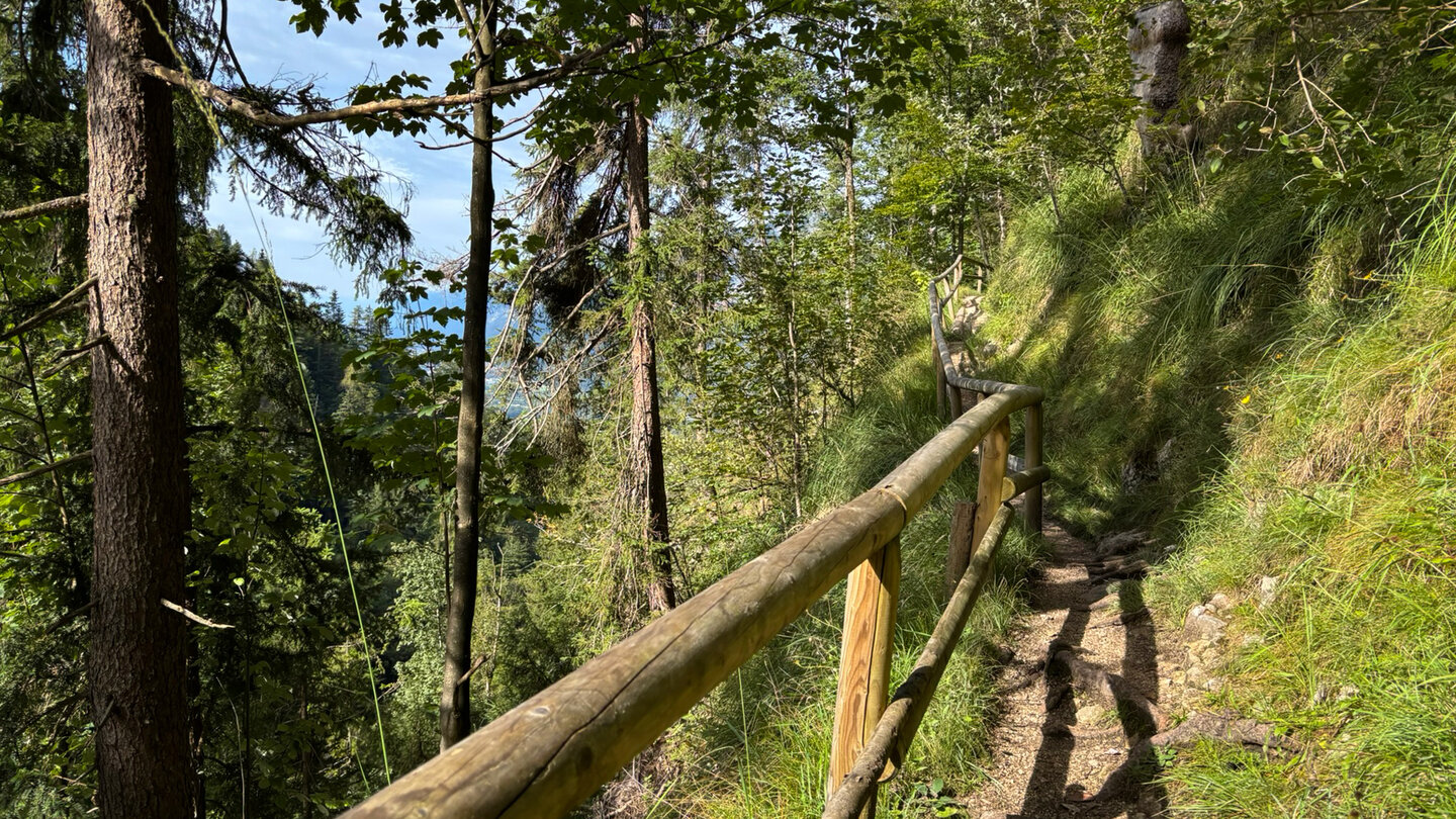 sonniger Abschnitt des Wanderwegs