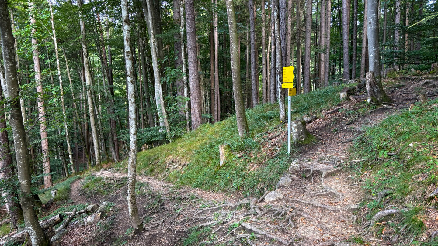 letzte Weggabelung im Elfenhain vor Kufstein