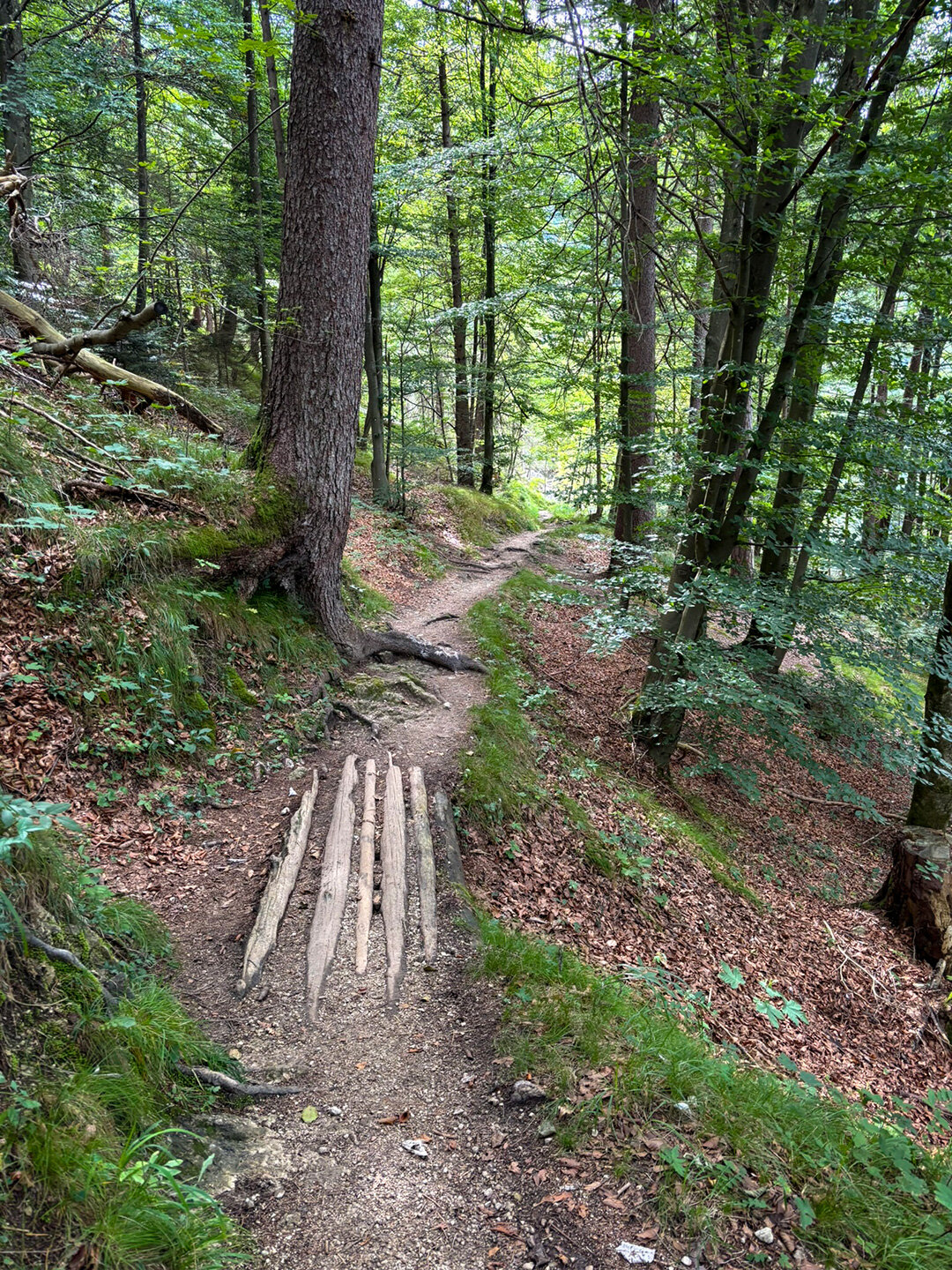 Wanderpfad führt weiter bergab nach Kufstein