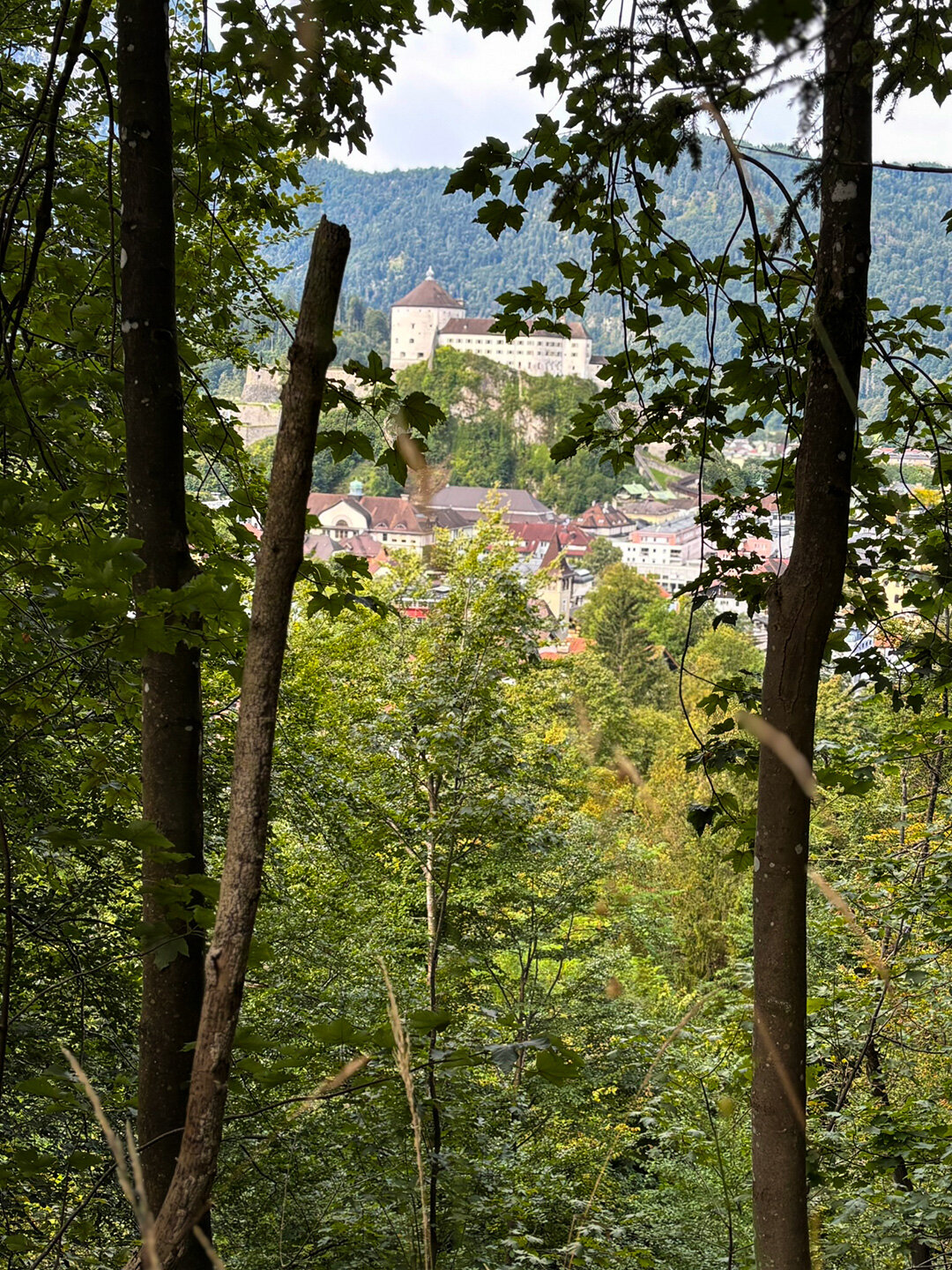 Blick durch den Wald auf die Festung Kufstein