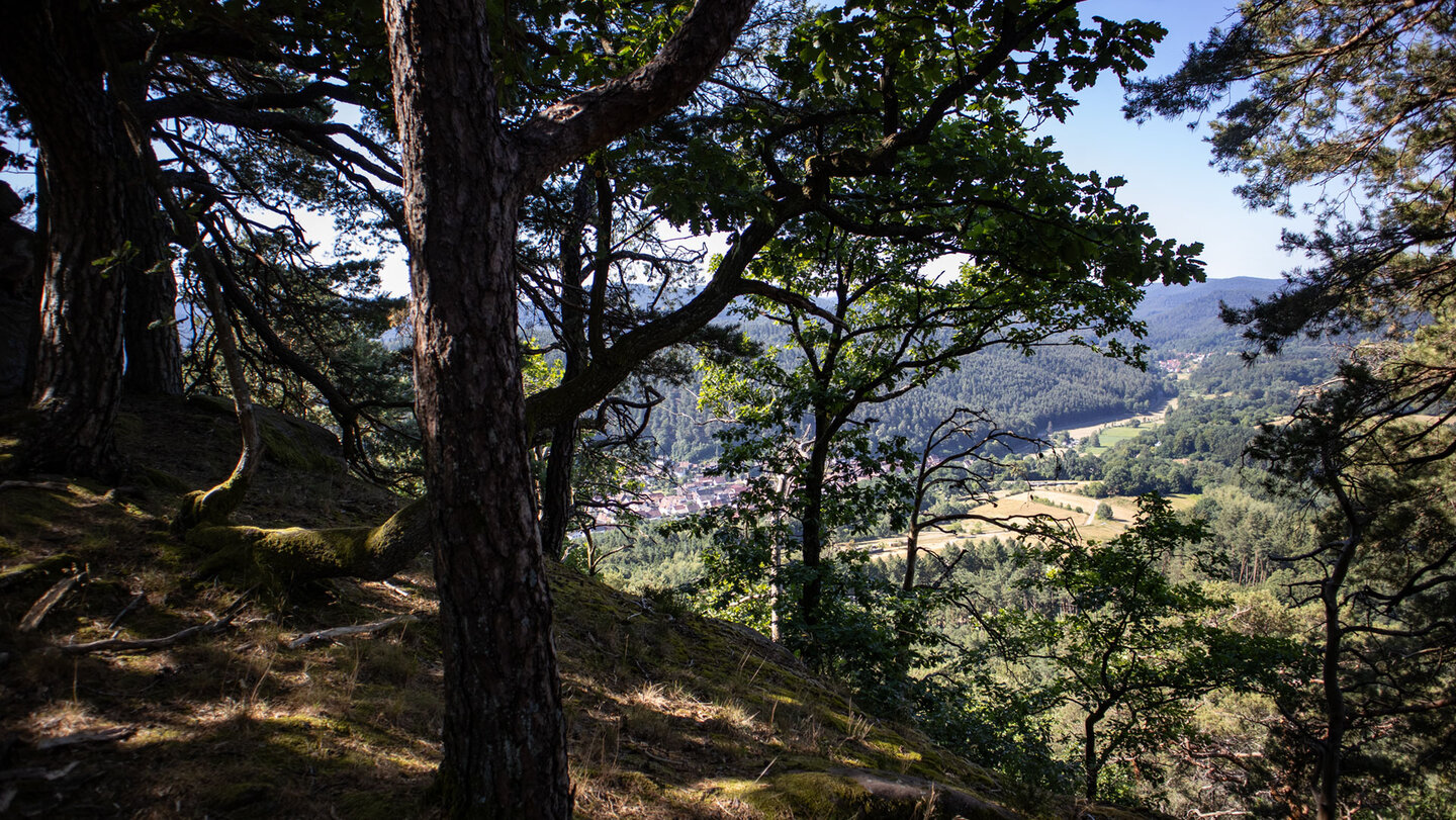 Vom Westfels des Rödelstein aus bietet sich ein Blick hinunter auf Vorderweidenthal.