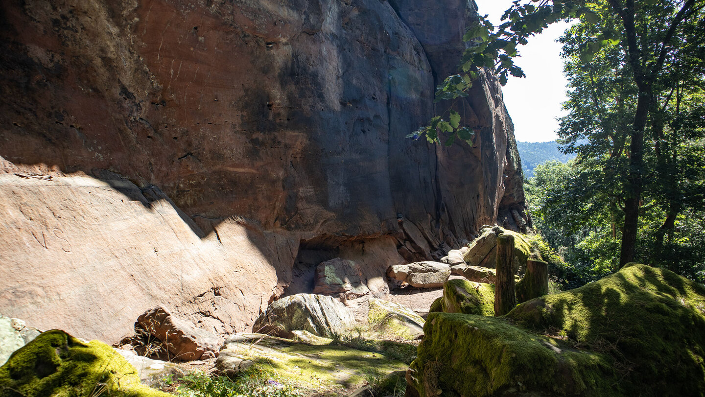 Dichte Moospolster überziehen die Felsen am Fuß des Buntsandsteinriffs Rödelstein
