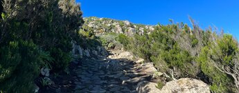 gepflasterter Wanderweg entlang der Cumbre de Bolico