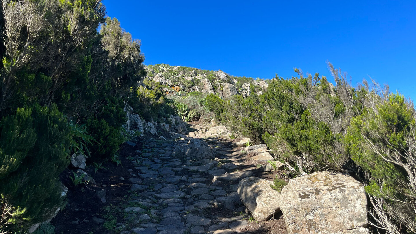gepflasterter Wanderweg entlang der Cumbre de Bolico