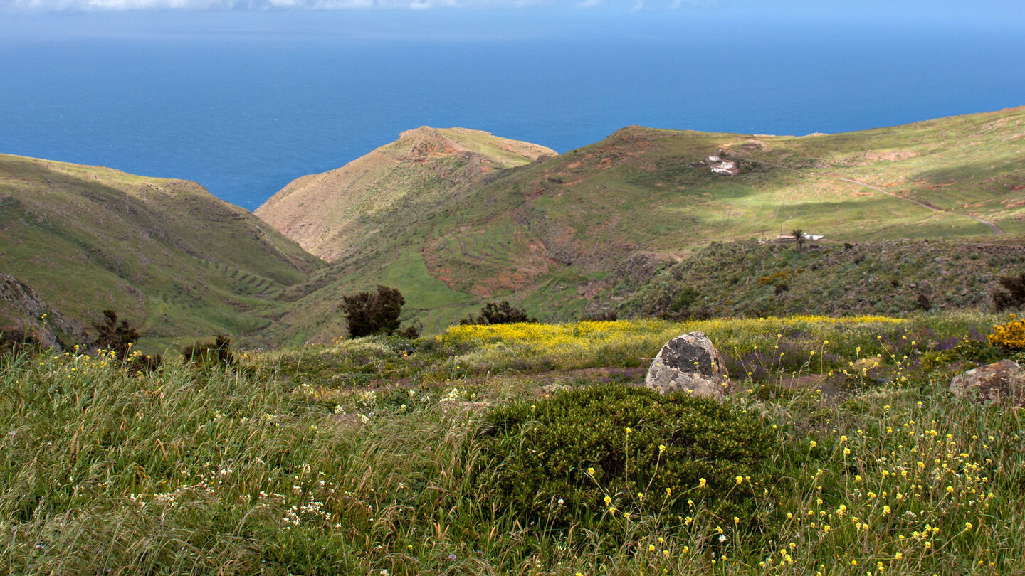 sanfte Hügellandschaft auf dem Plateau Teno Alto