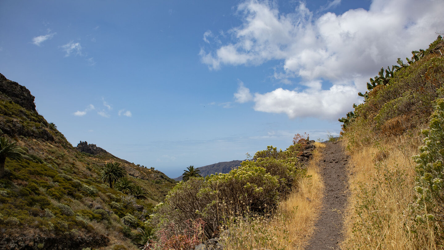 idyllischer Wanderpfad auf dem PR-LG 16