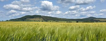 der Blick aus der Wiesenthaler Schweiz