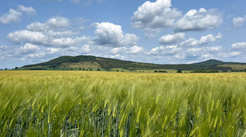 der Blick aus der Wiesenthaler Schweiz