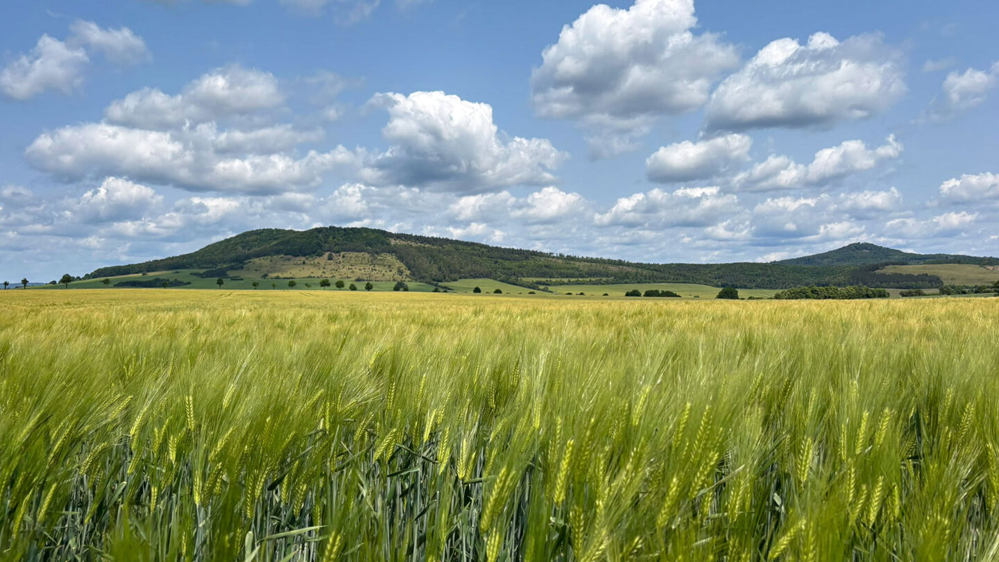 Blick aus der Wiesenthaler Schweiz der Blick aus der Wiesenthaler Schweiz