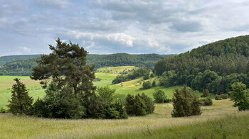 der Blick an Wacholder vorbei zum Roßberg