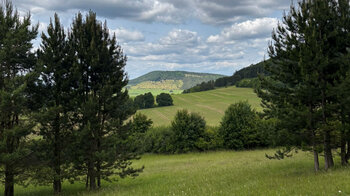 weiter Blick über die Wiesen