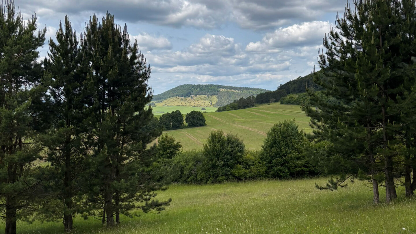 ein weiter Blick über die Wiesen weiter Blick über die Wiesen
