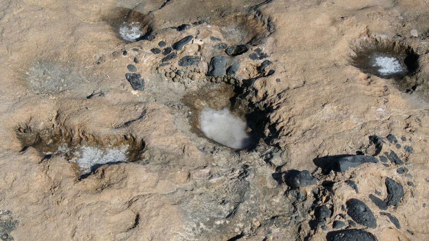 Salzablagerungen in den Aushöhlungen der Felsen am Playa el Salado auf La Graciosa