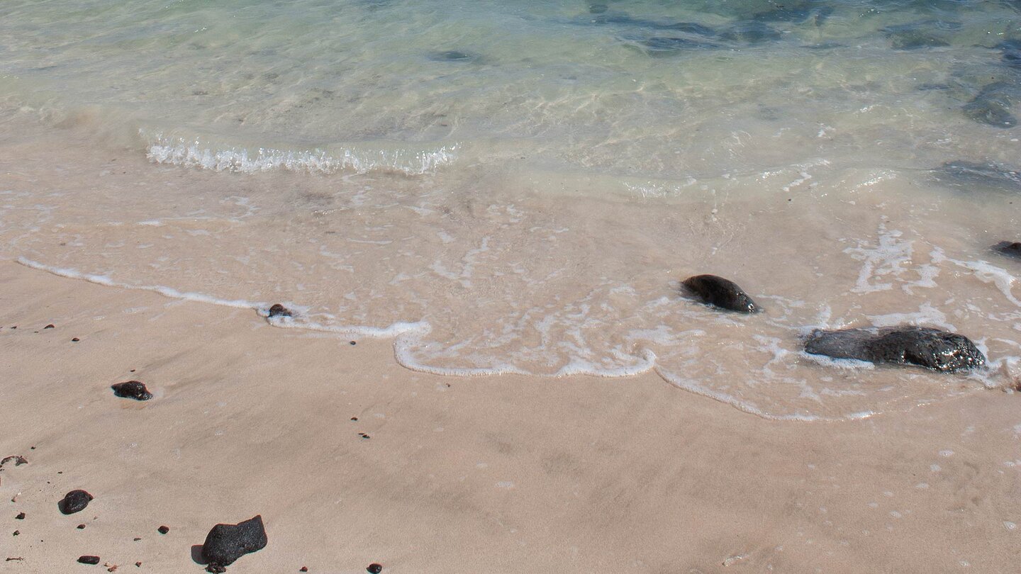 klares Wasser am Playa el Salado auf La Graciosa