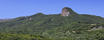 Roque de Niquiomo