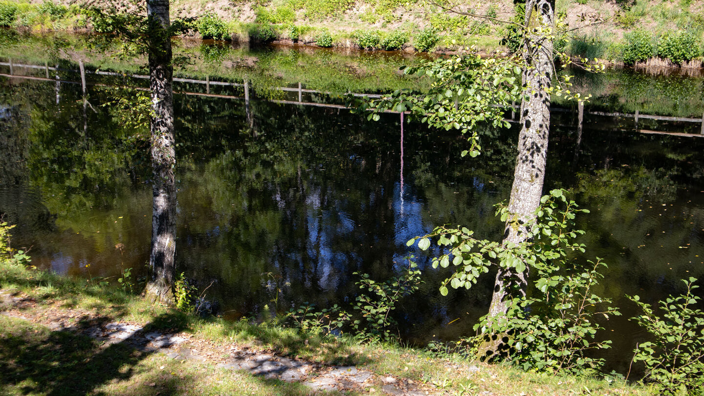 der Altschlosspfad am Eppenbrunner Weier der Altschlosspfad am Eppenbrunner Weier