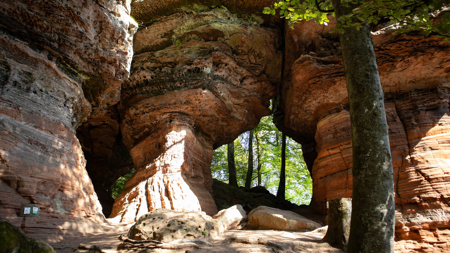Durchgänge zwischen den Felstürmen der Altschlossfelsen Durchgänge zwischen den Felstürmen der Altschlossfelsen