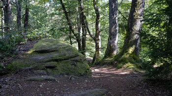 Wanderpfad entlang der Altschlossfelsen bei Eppenbrunn