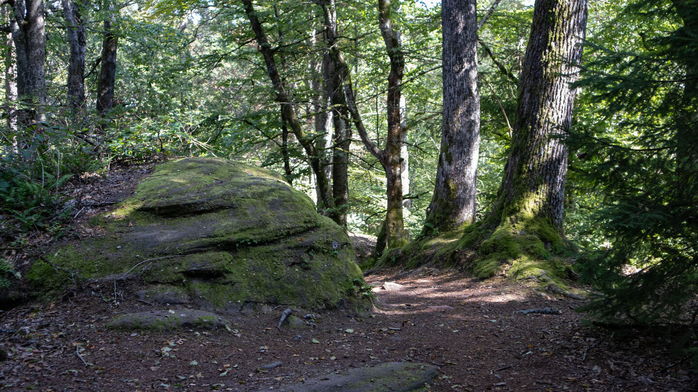Wanderpfad entlang der Altschlossfelsen bei Eppenbrunn Wanderpfad entlang der Altschlossfelsen bei Eppenbrunn