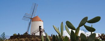 der Jardin de Cactus mit der alten Getreidemühle nahe der Ortschaft Guatiza in der Region Teguise