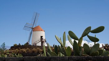 der Jardin de Cactus mit der alten Getreidemühle nahe der Ortschaft Guatiza in der Region Teguise