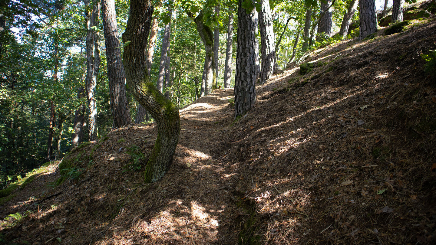 Wanderpfad aufs Plateau des Hochstein