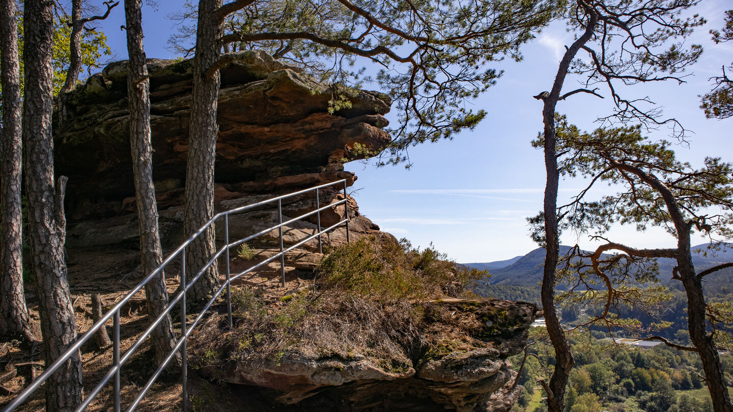 Kiefern besiedeln das Hochplateau am Hochstein