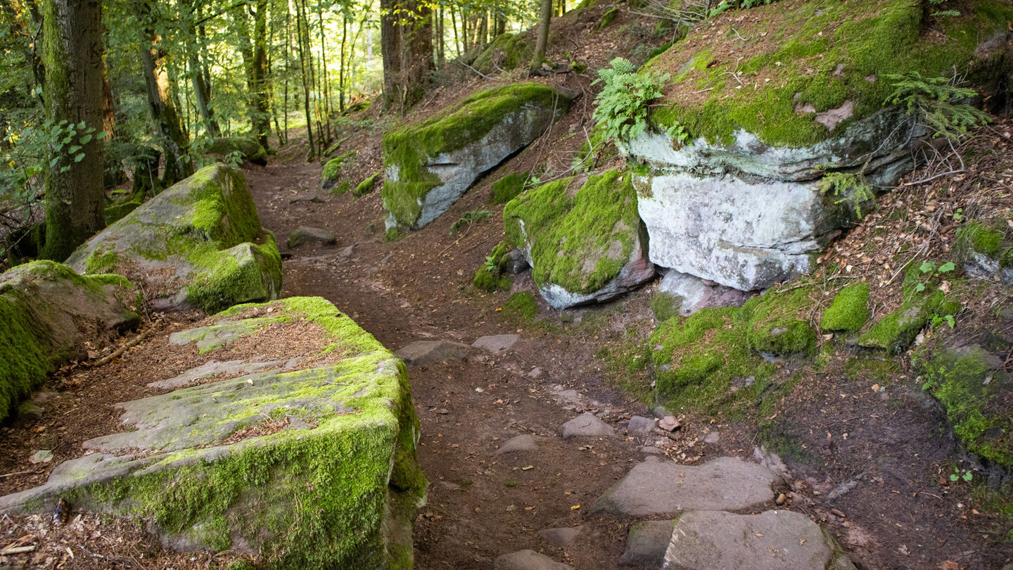 Wanderweg zum Dahner Felsentor