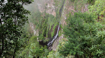 der Chorro del Cedro fällt durch eine Steilwand mit üppig grüner Vegetation