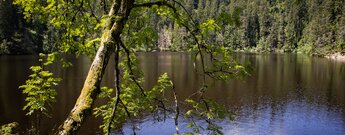 Blick auf den Glaswaldsee von der Lettstädter Höhe