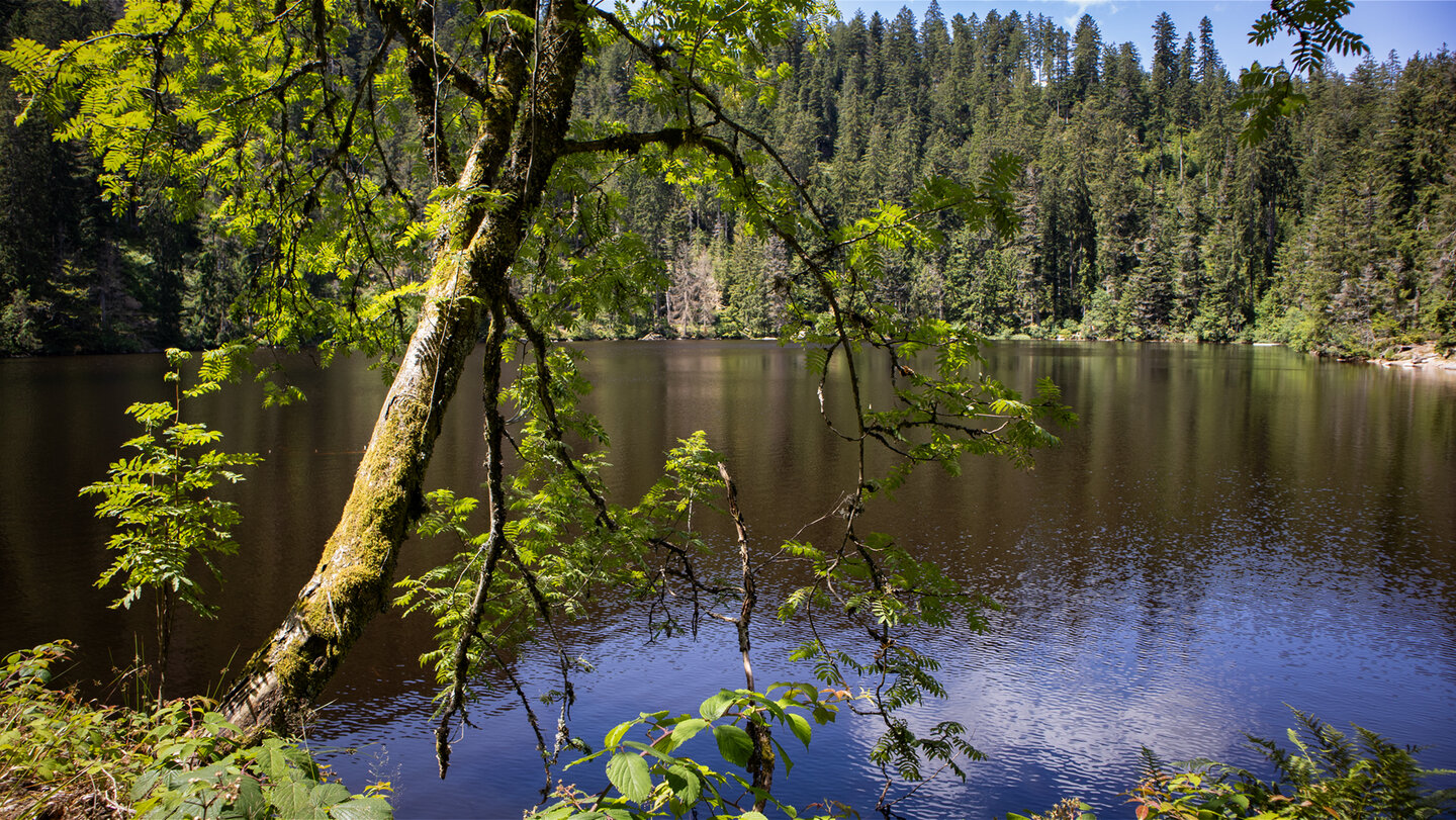 Blick auf den Glaswaldsee von der Lettstädter Höhe