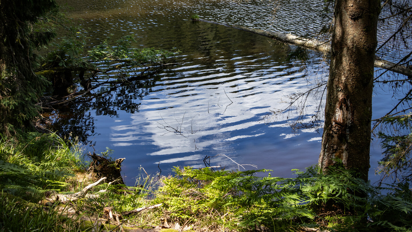 der Glaswaldsee ist ein Karsee und entstammt der Eiszeit