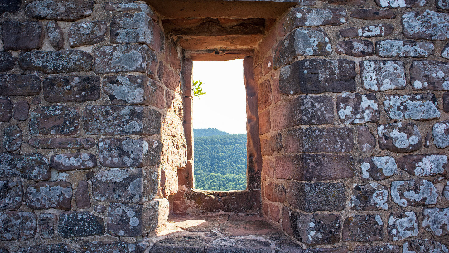 Fenster im Gemäuer der Ruine Meistersel Fenster im Gemäuer der Ruine Meistersel