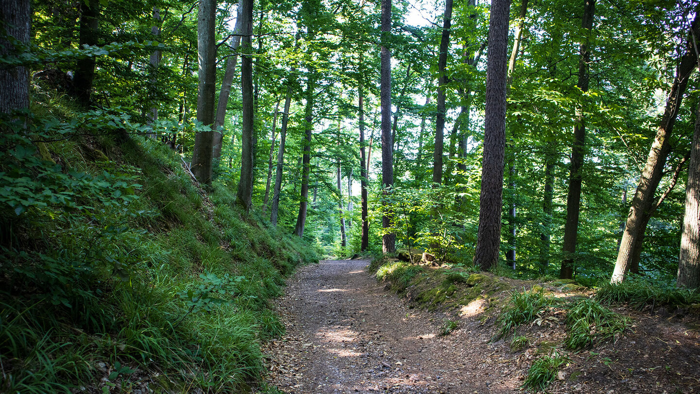 Wanderweg von der Burg Meistersel zum Parkplatz Drei Buchen Wanderweg von der Burg Meistersel zum Parkplatz Drei Buchen