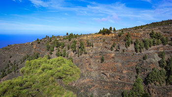 Schlucht Baranco de Izcagua zwischen Las Tricas und Puntagorda