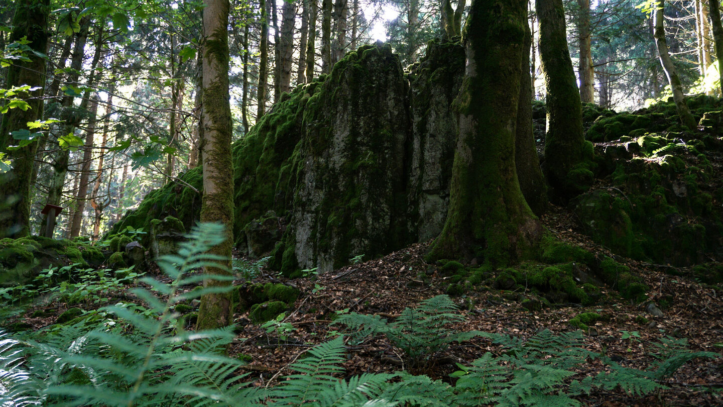 die Bonifatiuskanzel – ein Basaltfelsen-Geotop im Vogelsberg Geotop Bonifatiuskanzel