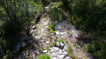 Wanderroute am Bachlauf des Río Turvilla bei Canillas de Albaida